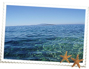 Apartmani Luci & Kety Lun Pag