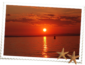 Apartmani Luci & Kety Lun Pag