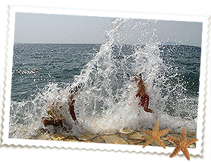 Apartmani Luci & Kety Lun Pag